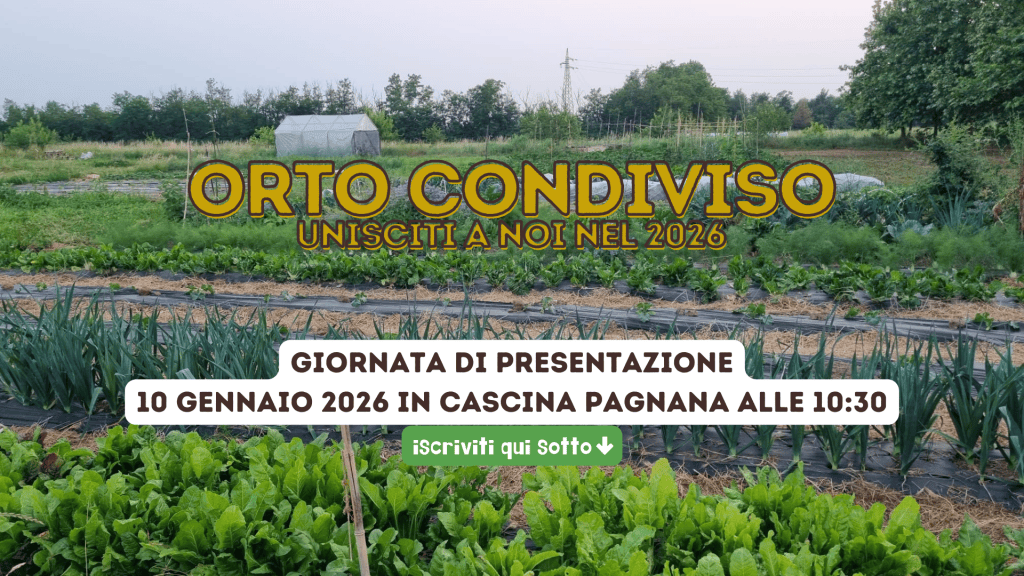 UNICATERRA IMPRESA SOCIALE AGRICOLA S.R.L. — foto 2
